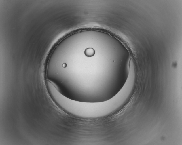 X0000116891326201001121335