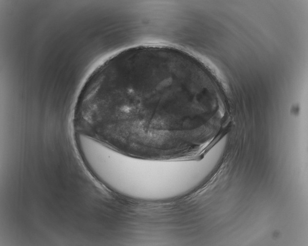 X0000116891327201001121335