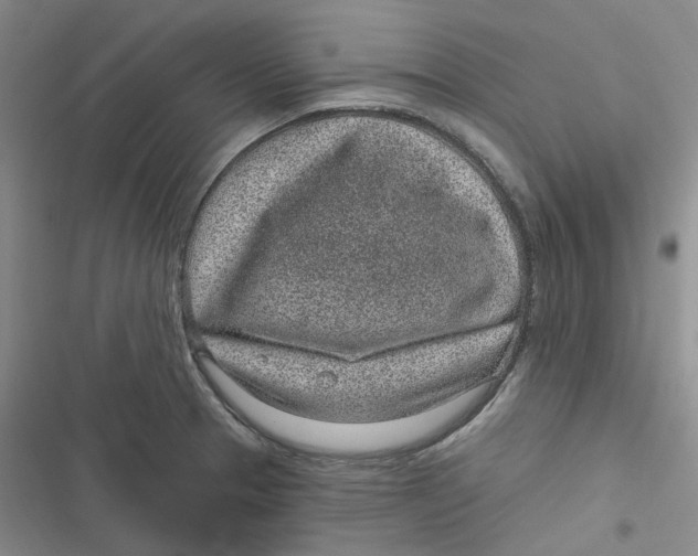 X0000116891329201001121335