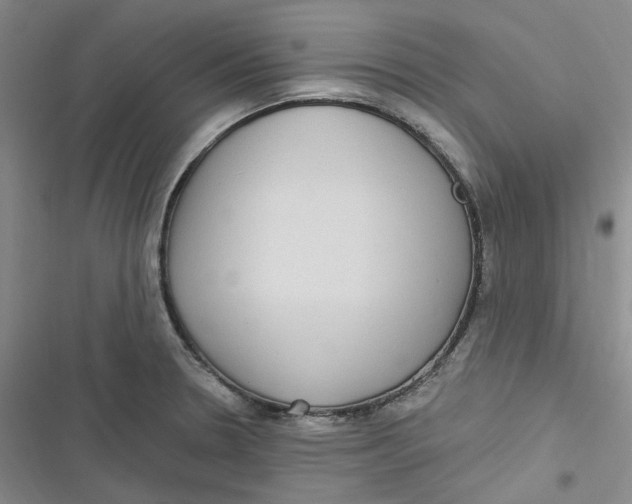 X0000116891330201001121335