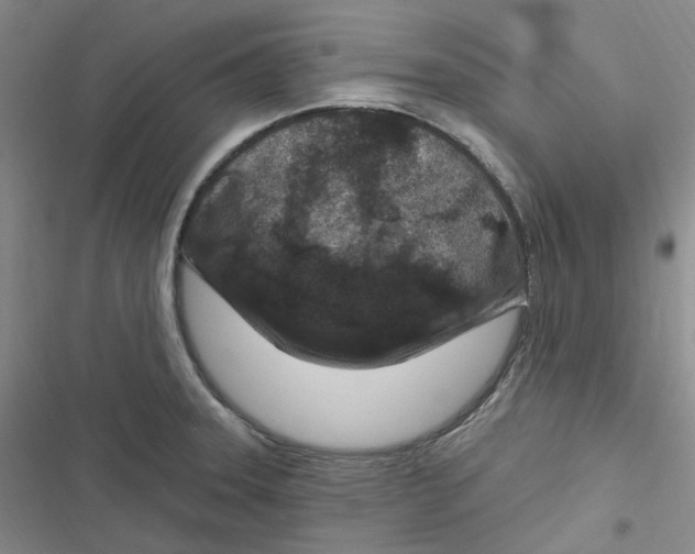 X0000116891331201001121335