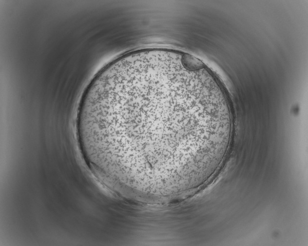 X0000116891333201001121335