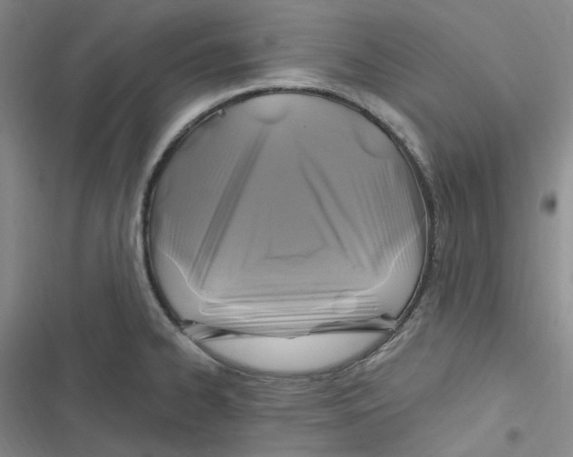 X0000116891334201001121335
