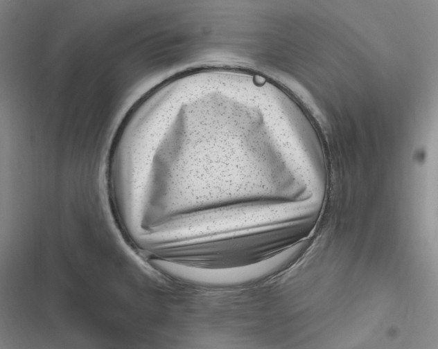 X0000116891335201001121335
