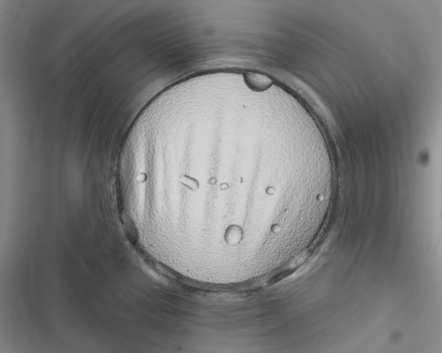 X0000116891337201001121335