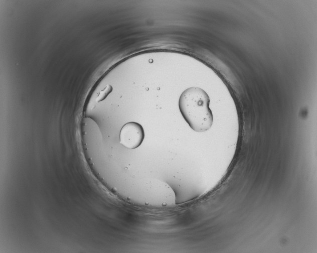 X0000116891338201001121335