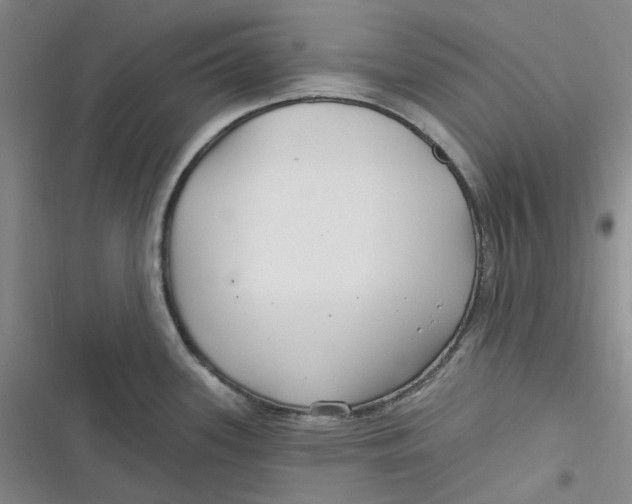 X0000116891339201001121335