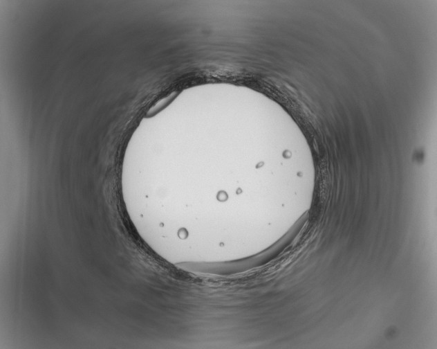 X0000116891345201001121335