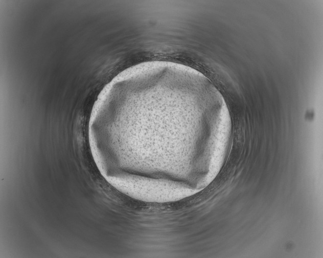 X0000116891346201001121335