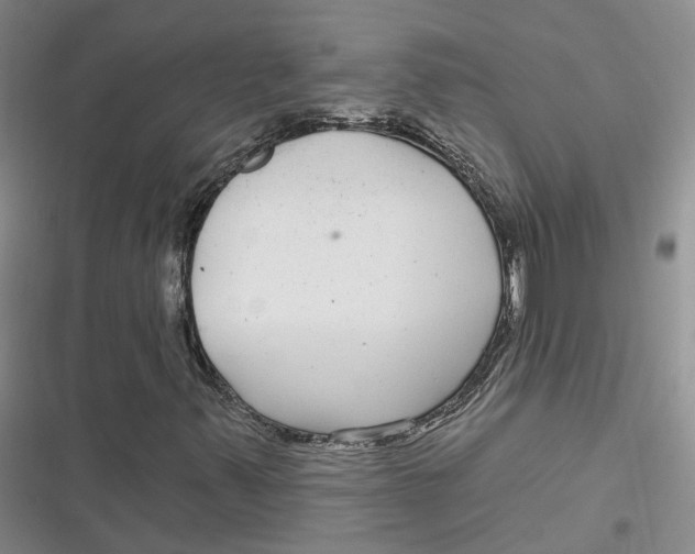 X0000116891347201001121335