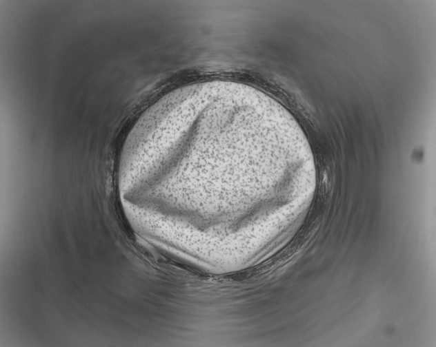 X0000116891348201001121335