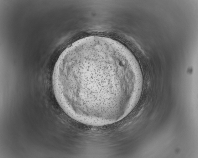 X0000116891350201001121335