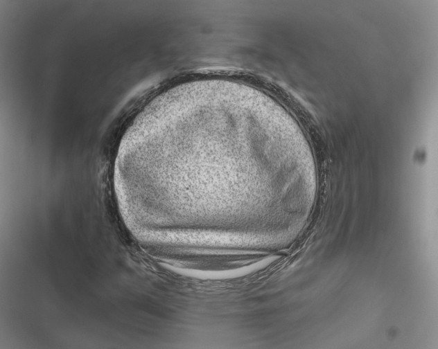 X0000116891351201001121335