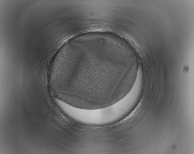 X0000116891353201001121335