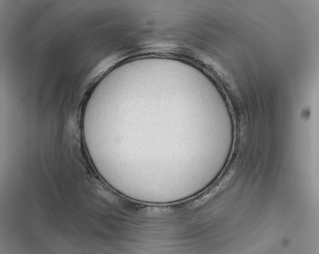 X0000116891354201001121335