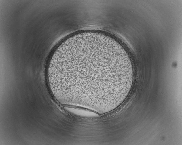 X0000116891356201001121335