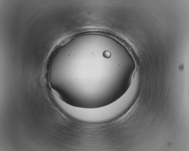 X0000116891357201001121335