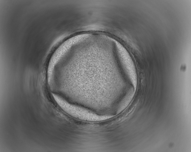 X0000116891358201001121335