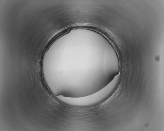 X0000116891361201001121335