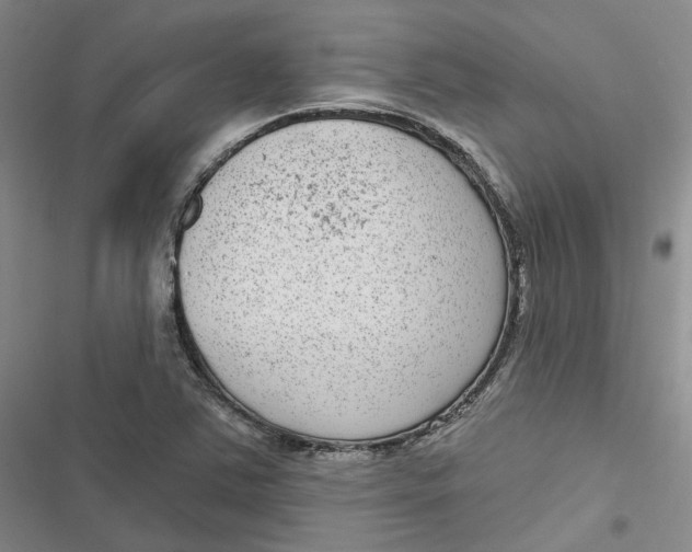 X0000116891363201001121335