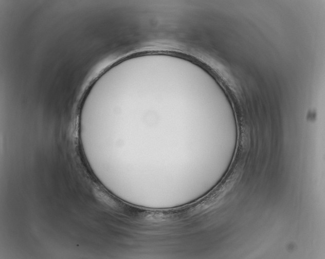 X0000116891366201001121334