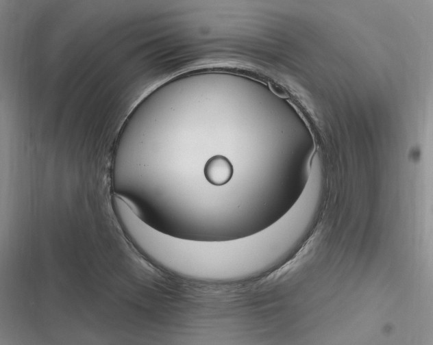 X0000116891369201001121334