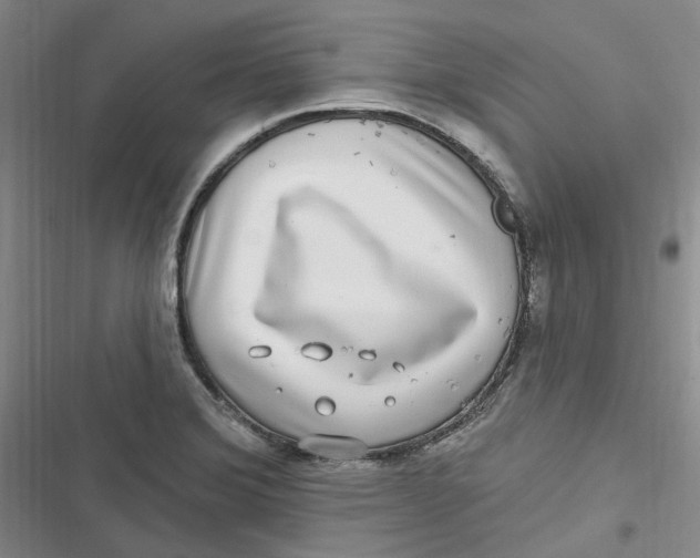 X0000116891372201001121334