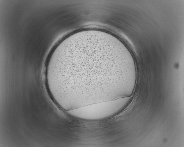 X0000116891376201001121334