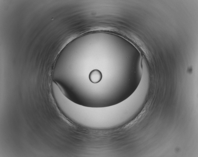 X0000116891377201001121334