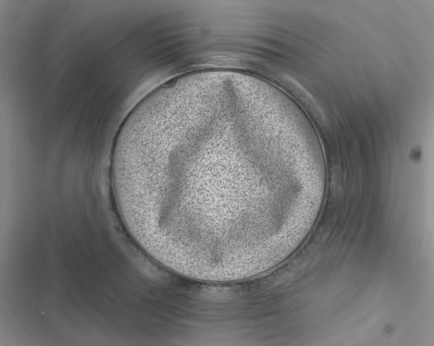 X0000116891378201001121334