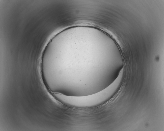 X0000116891379201001121334