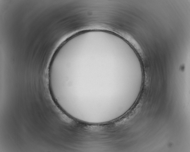 X0000116891380201001121334