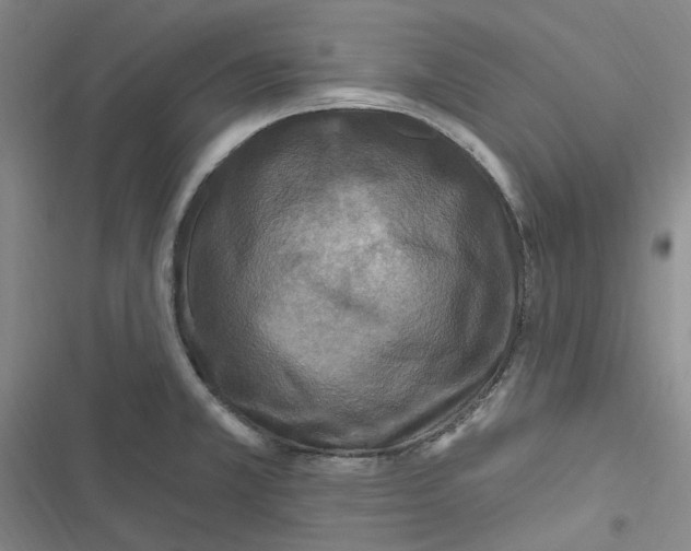 X0000116891381201001121334