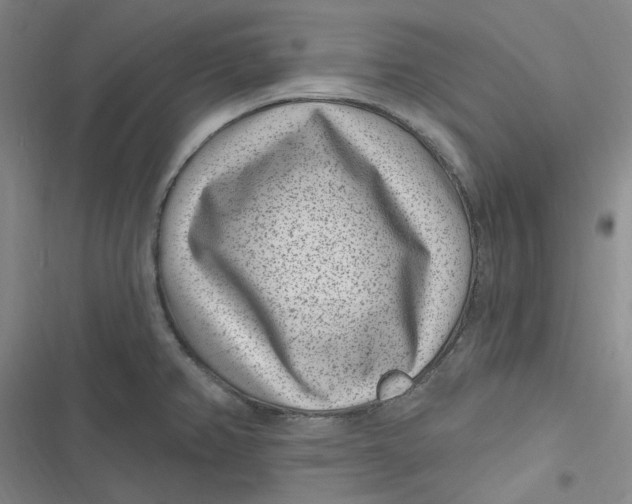 X0000116891382201001121334