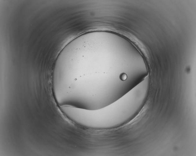 X0000116891385201001121334