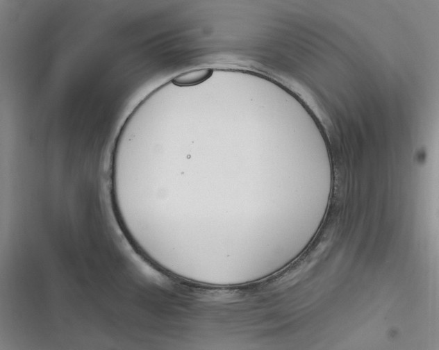 X0000116891387201001121334