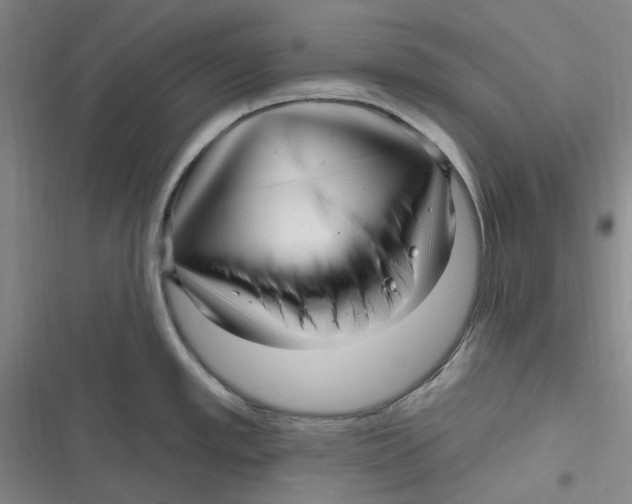 X0000116891389201001121334