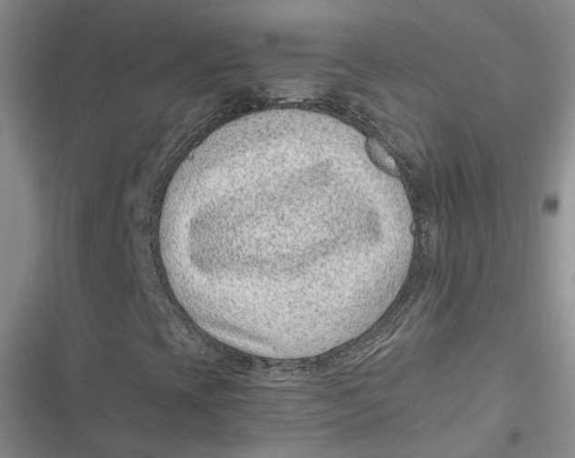 X0000116891393201001121333