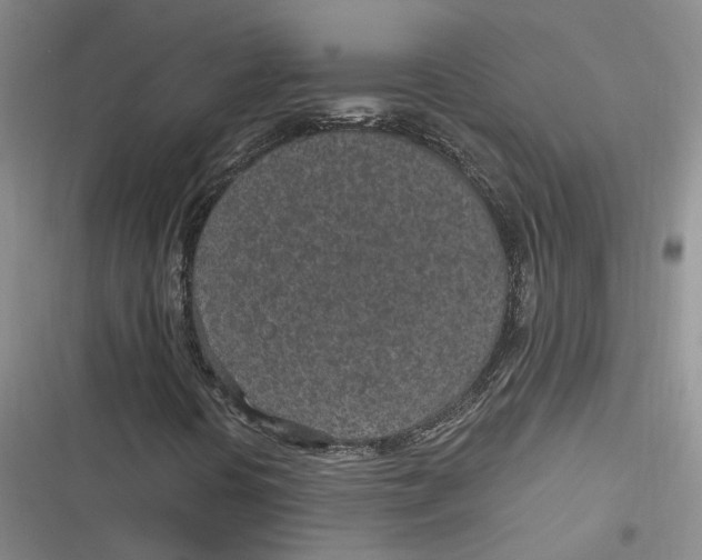 X0000116891394201001121334