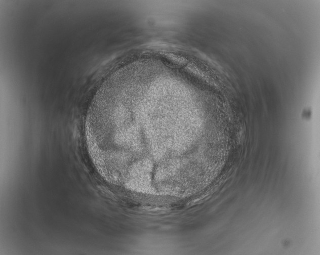 X0000116891397201001121334