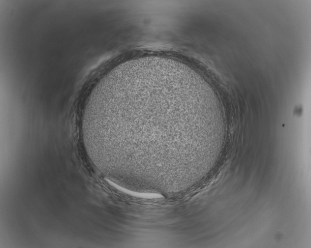 X0000116891398201001121334