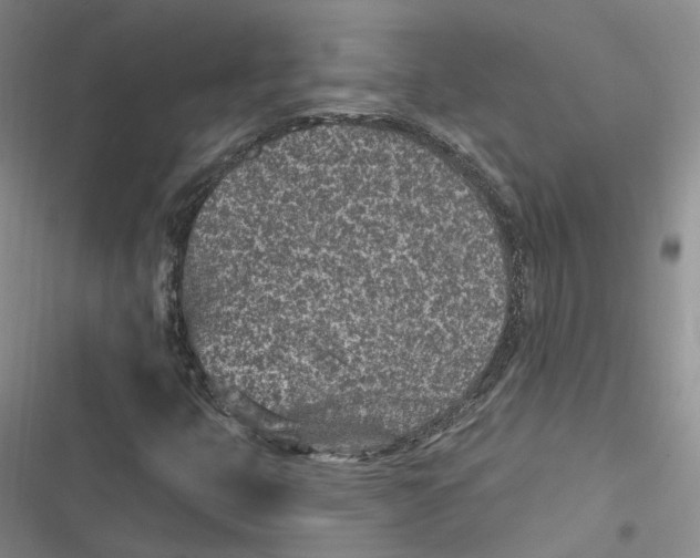 X0000116891399201001121334