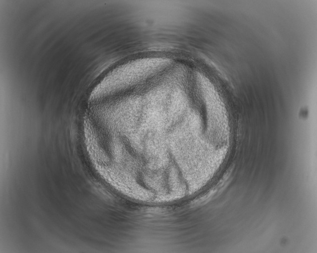 X0000116891401201001121334