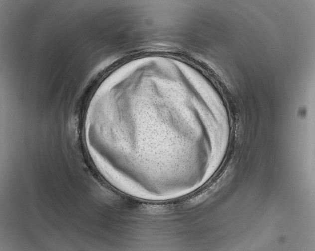 X0000116891402201001121334
