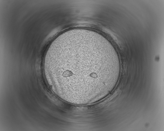 X0000116891403201001121334