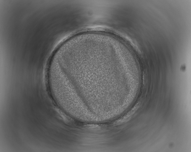 X0000116891405201001121334