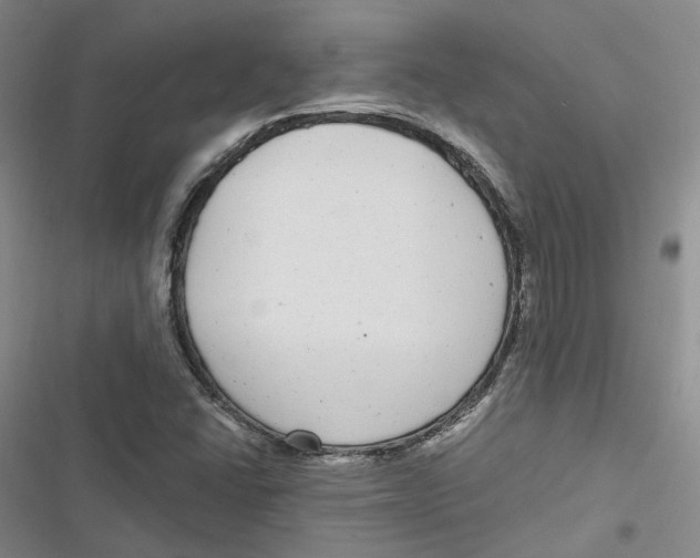 X0000116891406201001121334