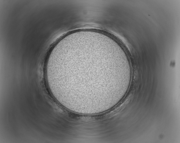 X0000116891407201001121334