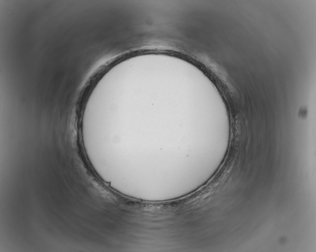 X0000116891408201001121334