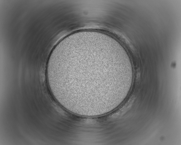 X0000116891409201001121334
